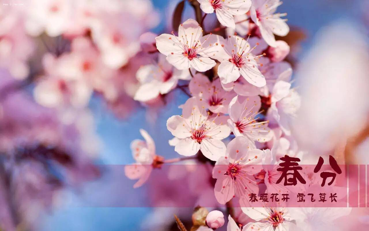春分到，蛋兒俏!|春分立蛋，這么好玩的游戲，你get到了嗎？